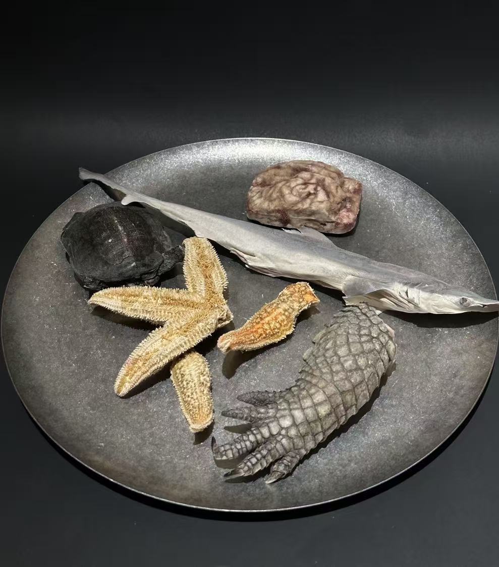 Freeze - Dried Treats