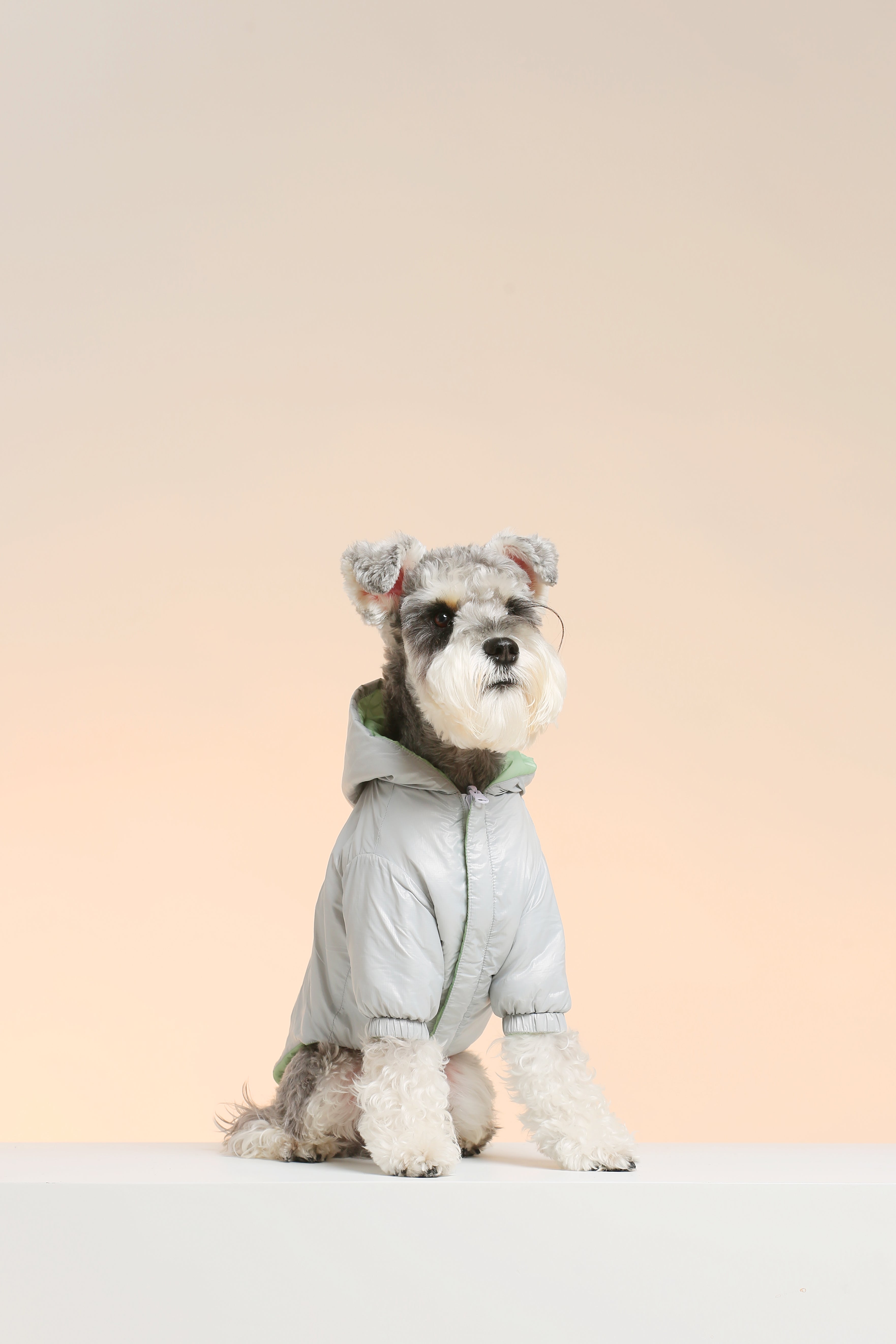 UltraWarm 3M Thinsulate Pet Jacket