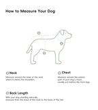 All-Weather 3-in-1 Softshell Pet Jacket