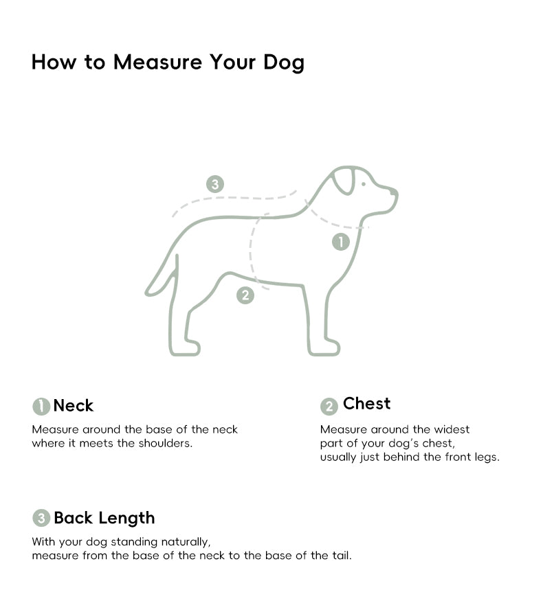 All-Weather 3-in-1 Softshell Pet Jacket