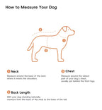 UltraWarm 3M Thinsulate Pet Jacket