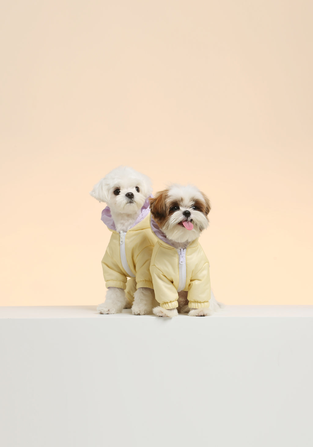 UltraWarm 3M Thinsulate Pet Jacket
