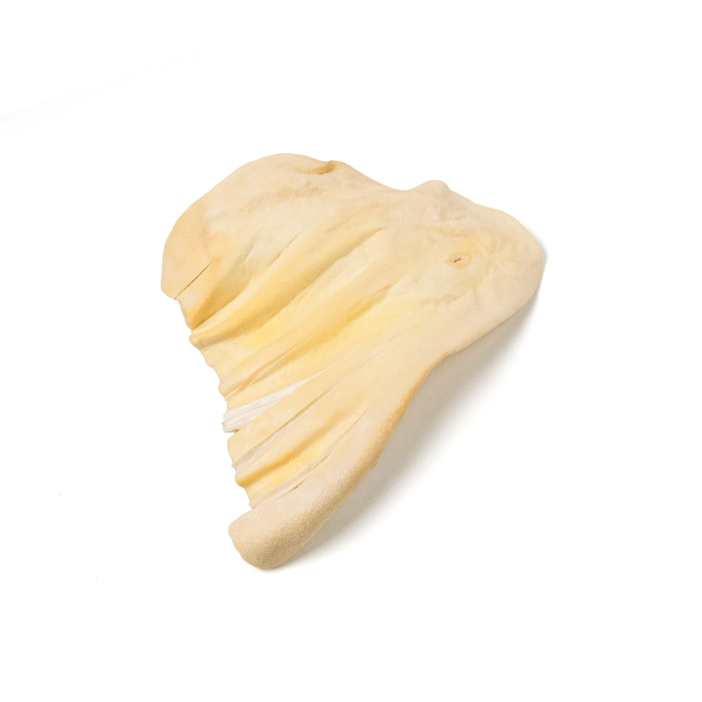 Freeze-dried Beef Ear