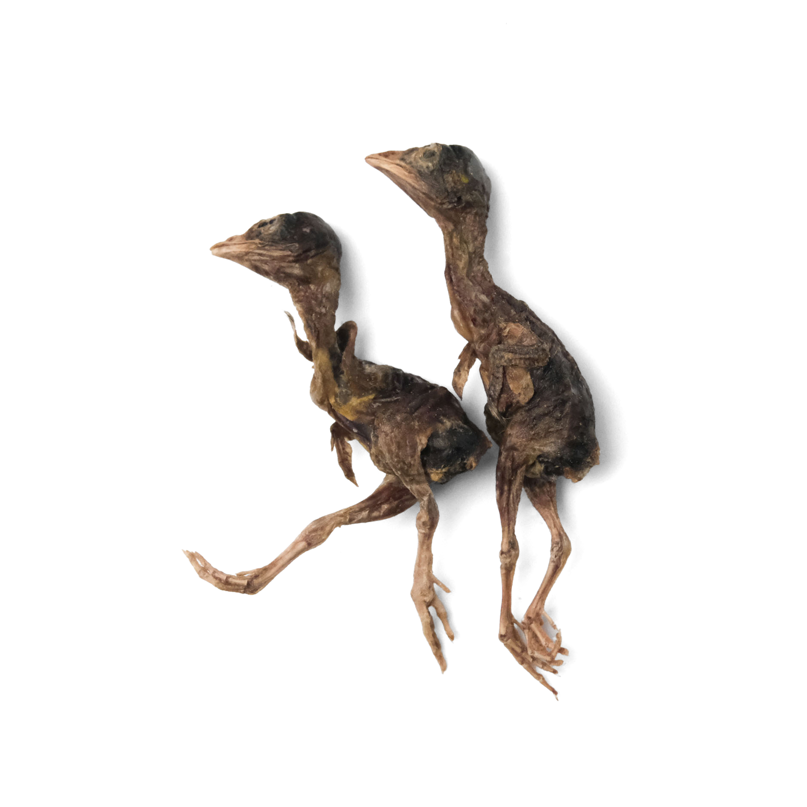 Freeze-dried Whole Quail