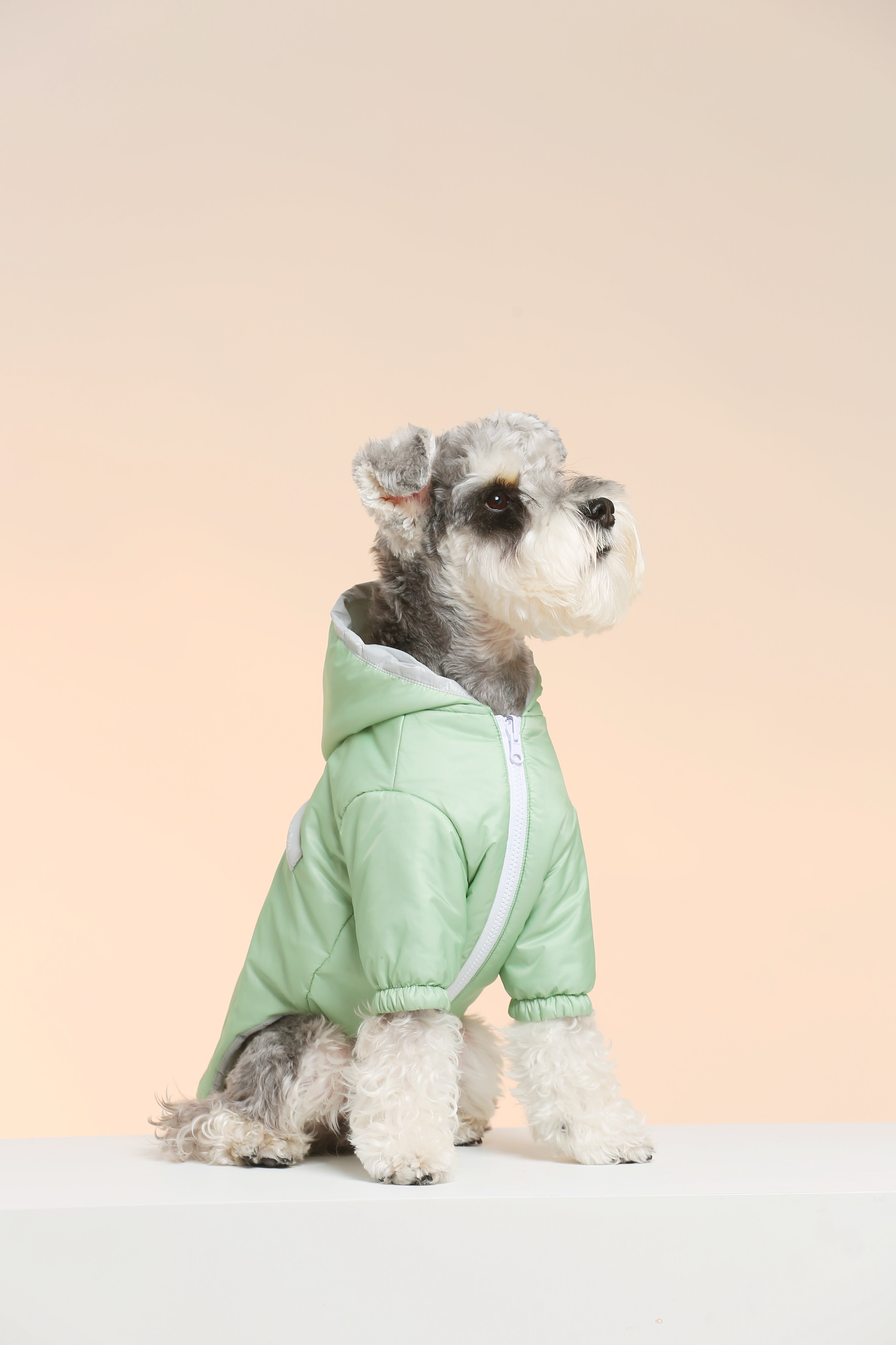 UltraWarm 3M Thinsulate Pet Jacket