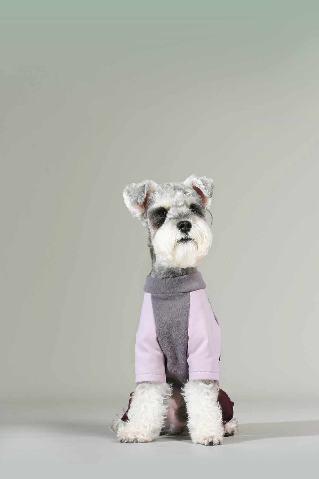 All-Weather 3-in-1 Softshell Pet Jacket