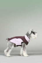 All-Weather 3-in-1 Softshell Pet Jacket