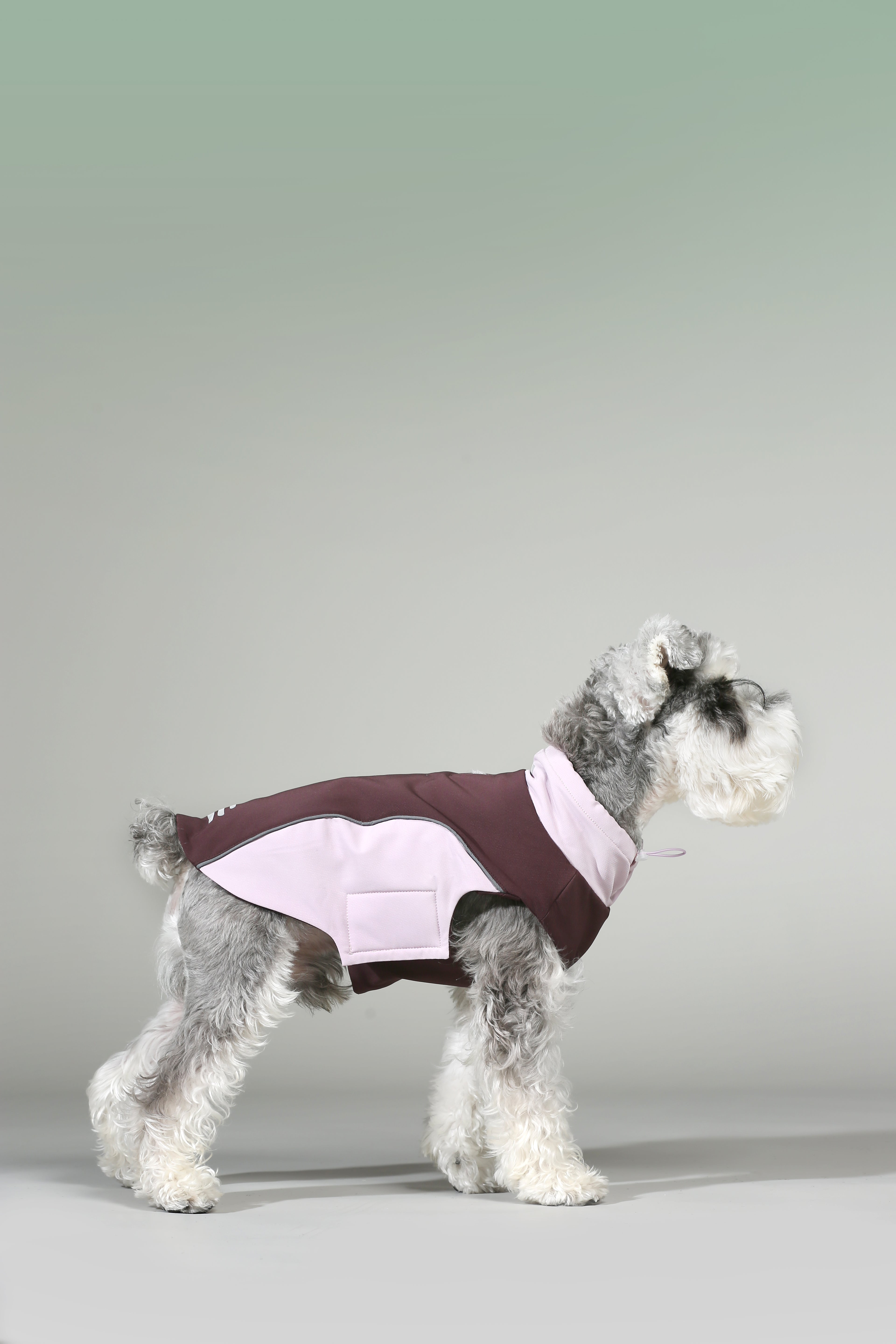 All-Weather 3-in-1 Softshell Pet Jacket