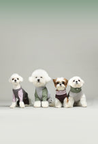All-Weather 3-in-1 Softshell Pet Jacket