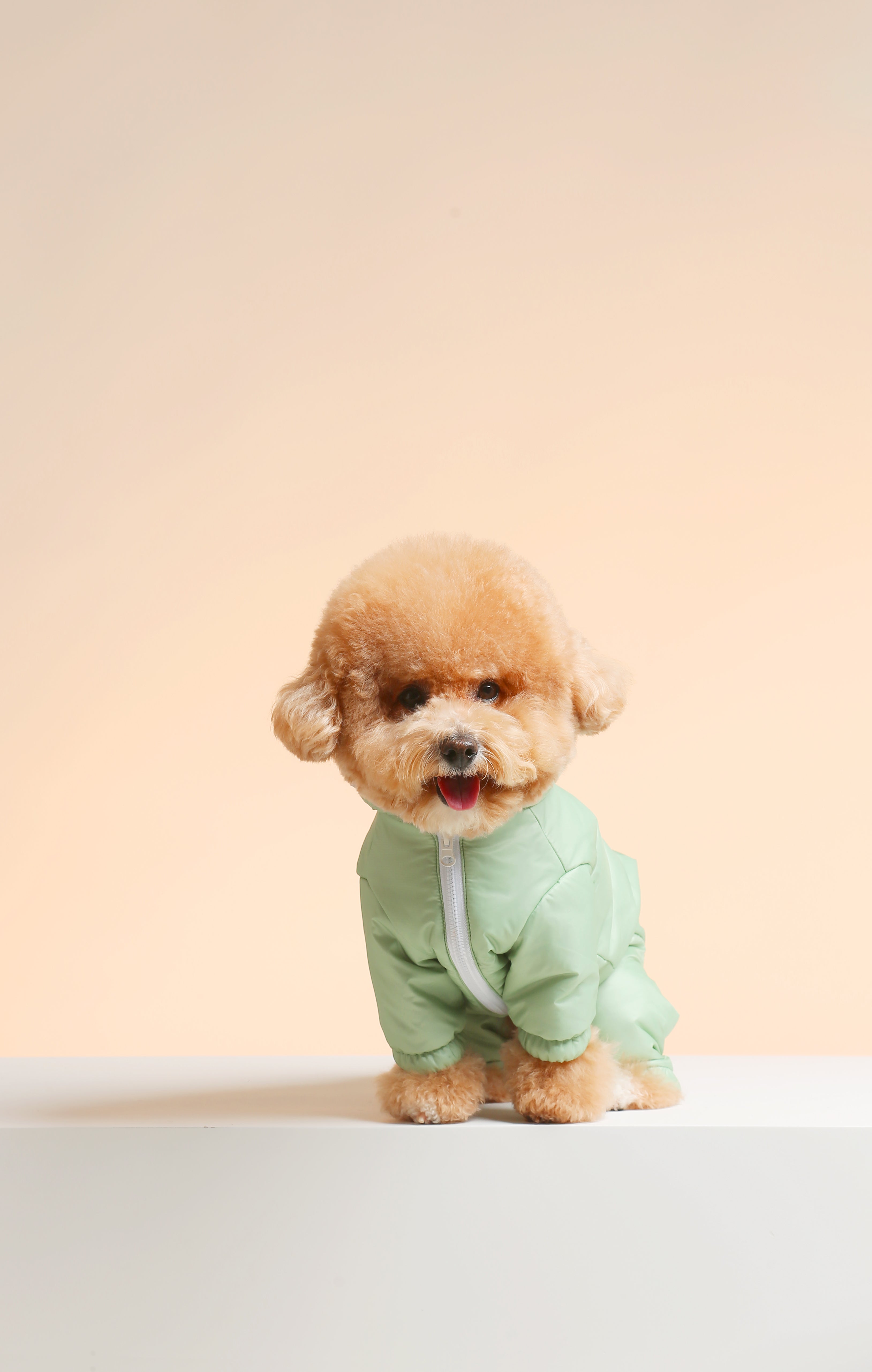 UltraWarm 3M Thinsulate Pet Jacket