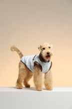 UltraWarm 3M Thinsulate Pet Vest