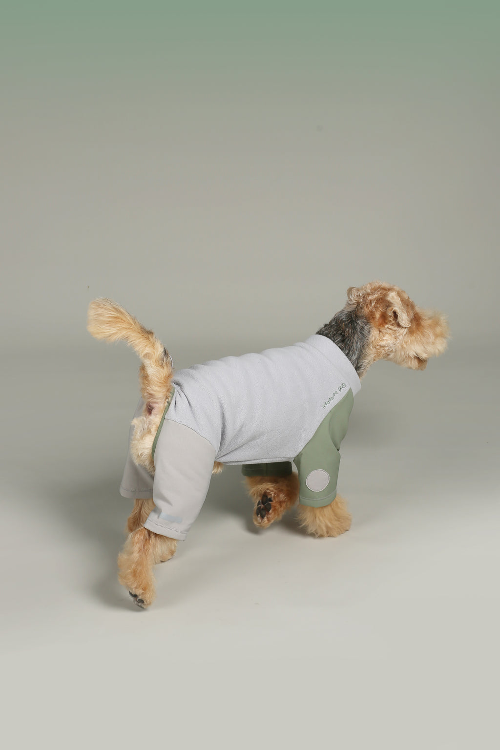 All-Weather 3-in-1 Softshell Pet Jacket