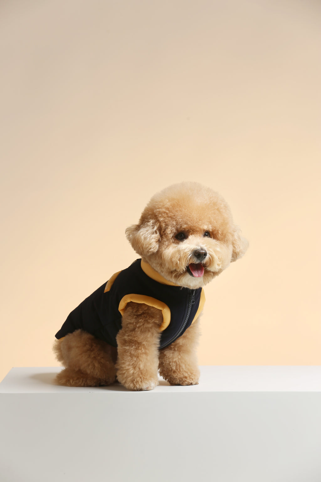 UltraWarm 3M Thinsulate Pet Vest