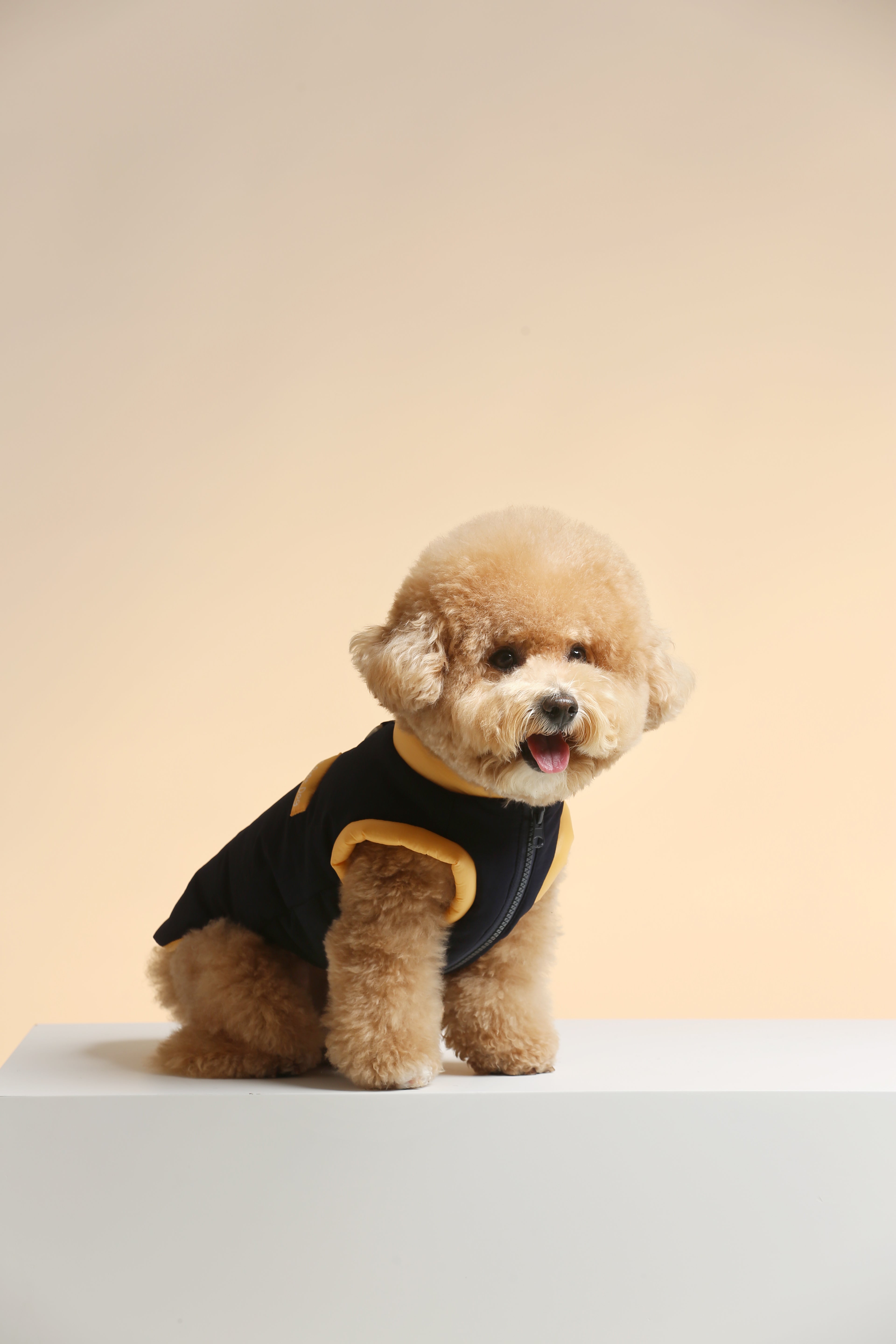 UltraWarm 3M Thinsulate Pet Vest