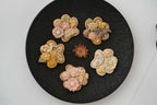 Mini Paw Print Glazed Biscuit