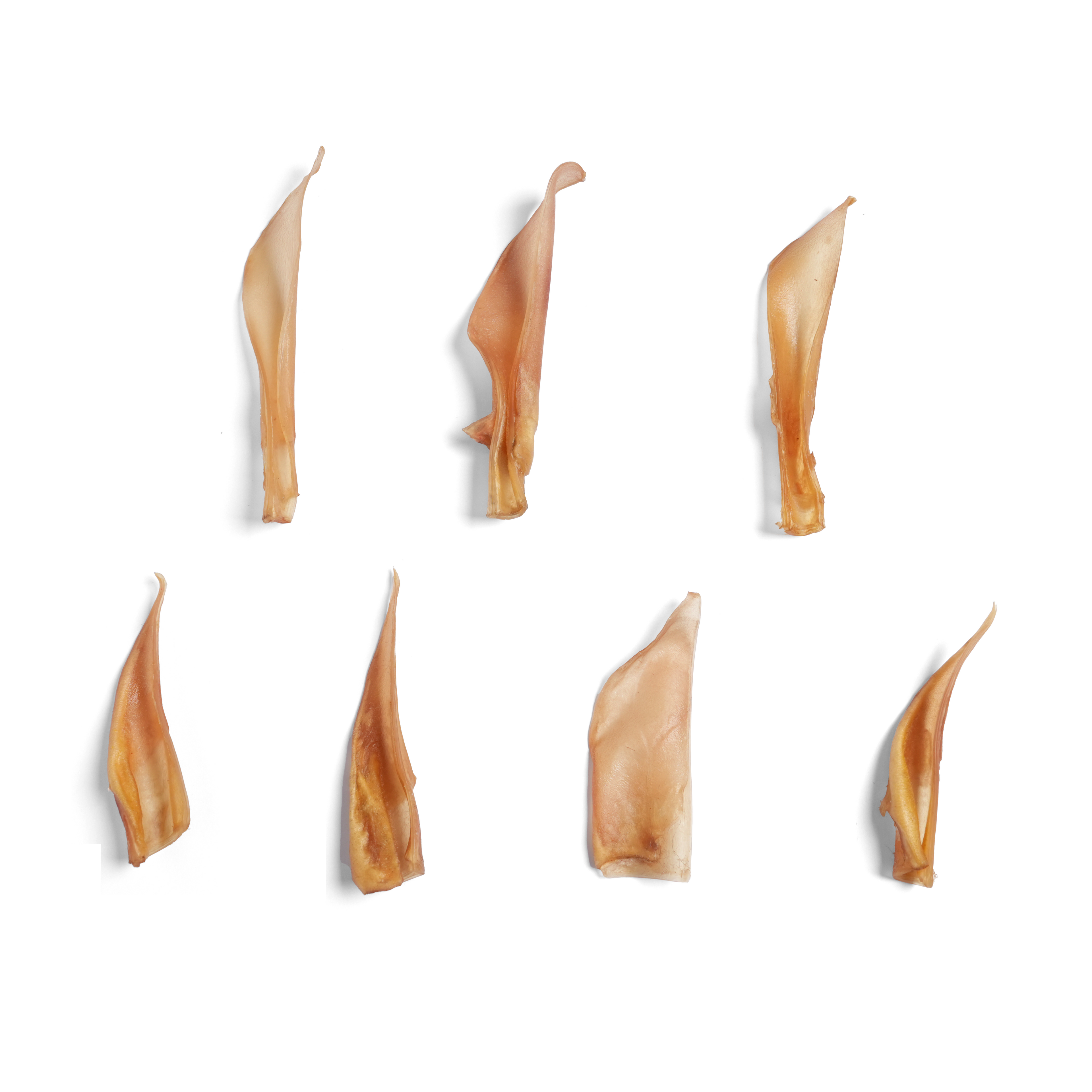 Dried Beef Ear
